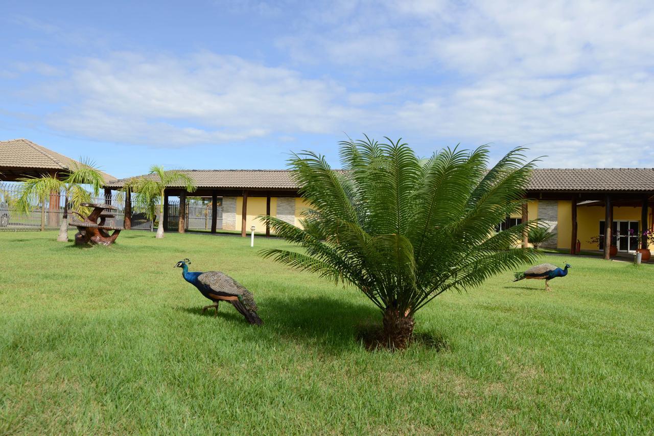 Pousada Haras Santa Rita Pocone Exterior photo